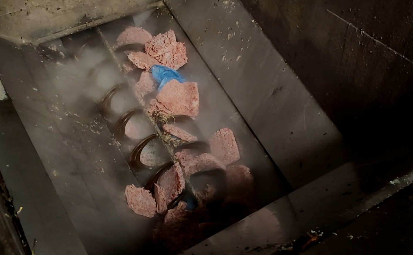 過期（qī）凍品銷毀